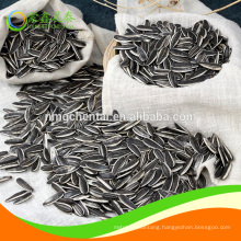 2019 new cheap good quality sunflower seeds 601